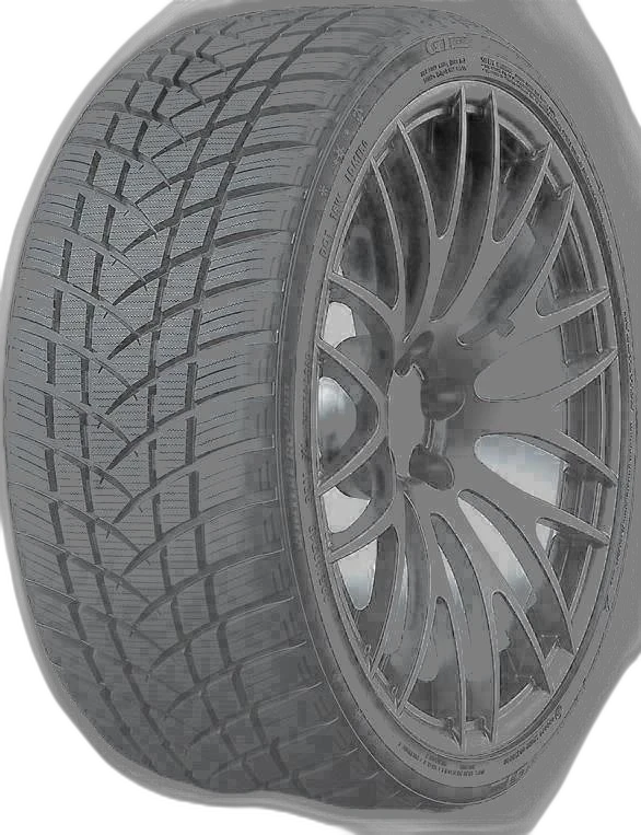 Gt Radial Winter Pro 2 Sport 