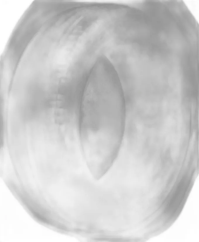 Toyo Proxes CF2